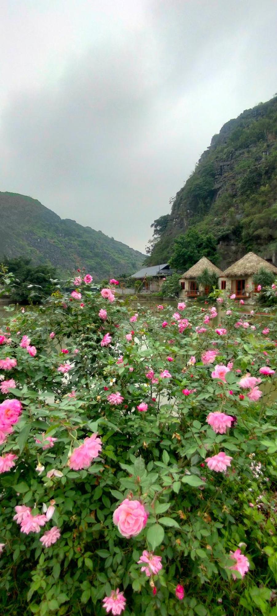Hang Mua Eco Garden Xuan Son Экстерьер фото