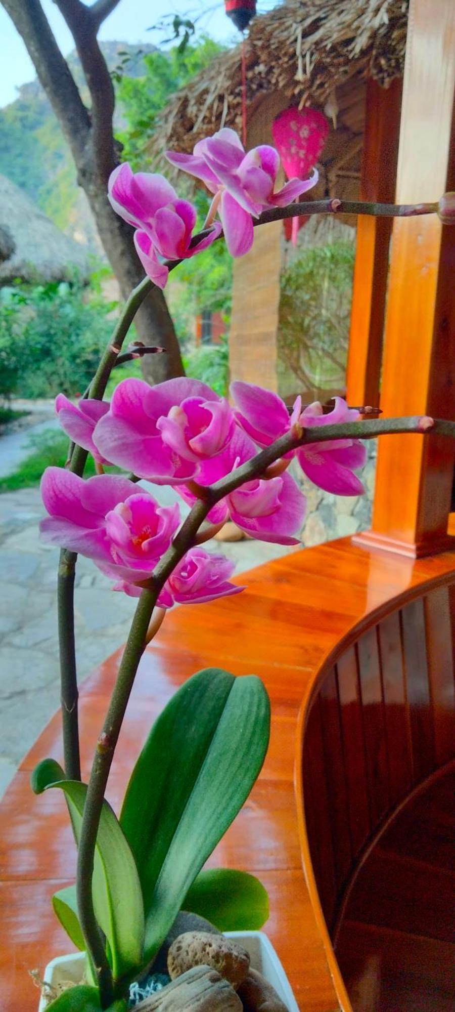 Hang Mua Eco Garden Xuan Son Экстерьер фото