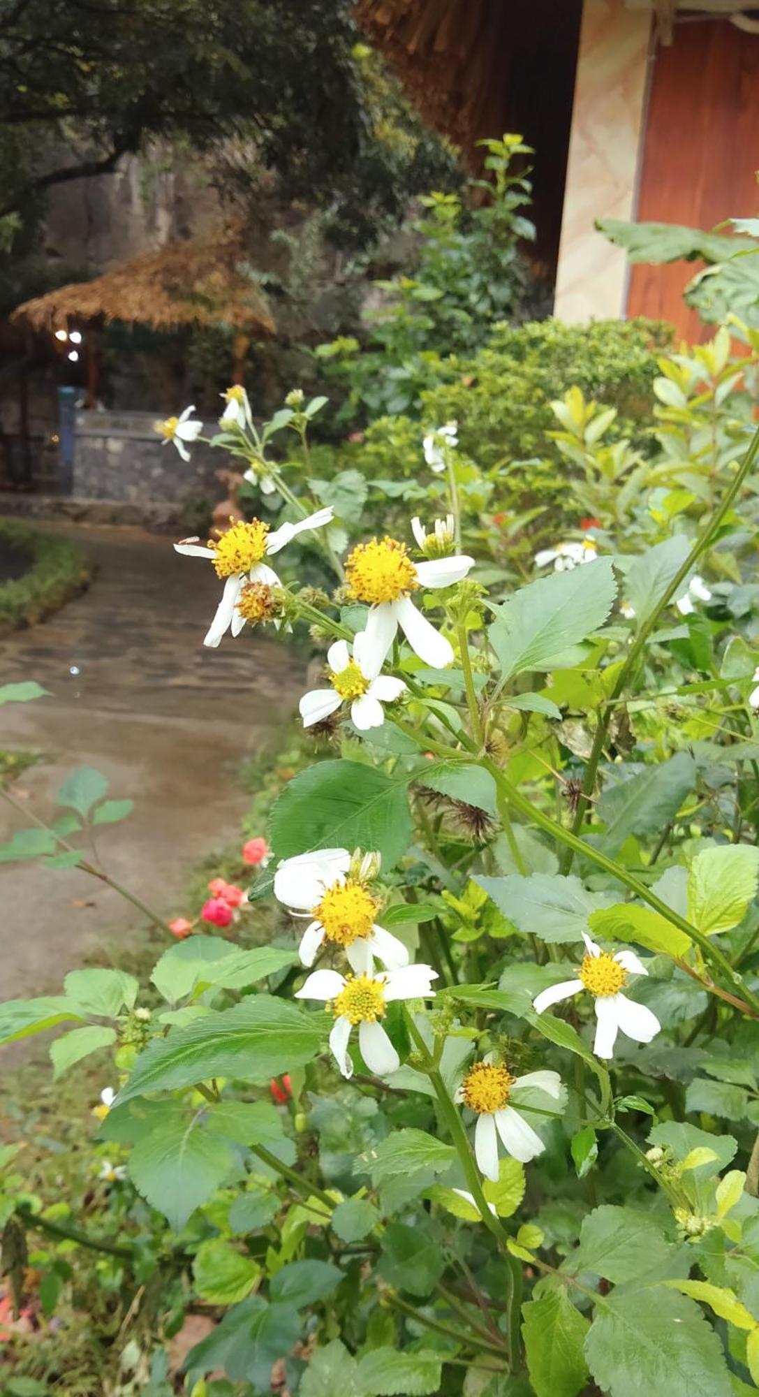 Hang Mua Eco Garden Xuan Son Экстерьер фото