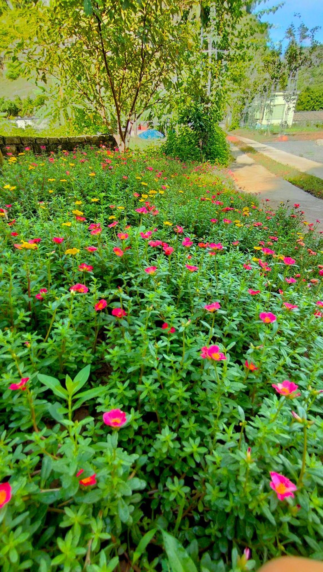 Hang Mua Eco Garden Xuan Son Экстерьер фото