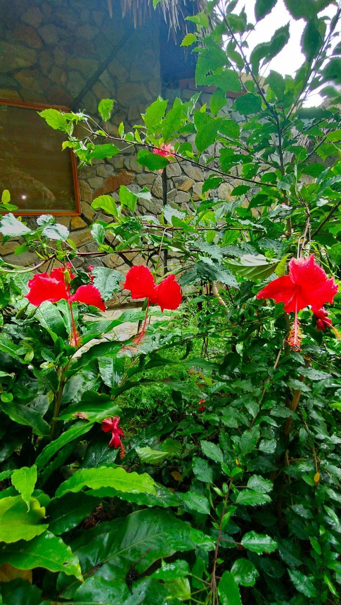 Hang Mua Eco Garden Xuan Son Экстерьер фото
