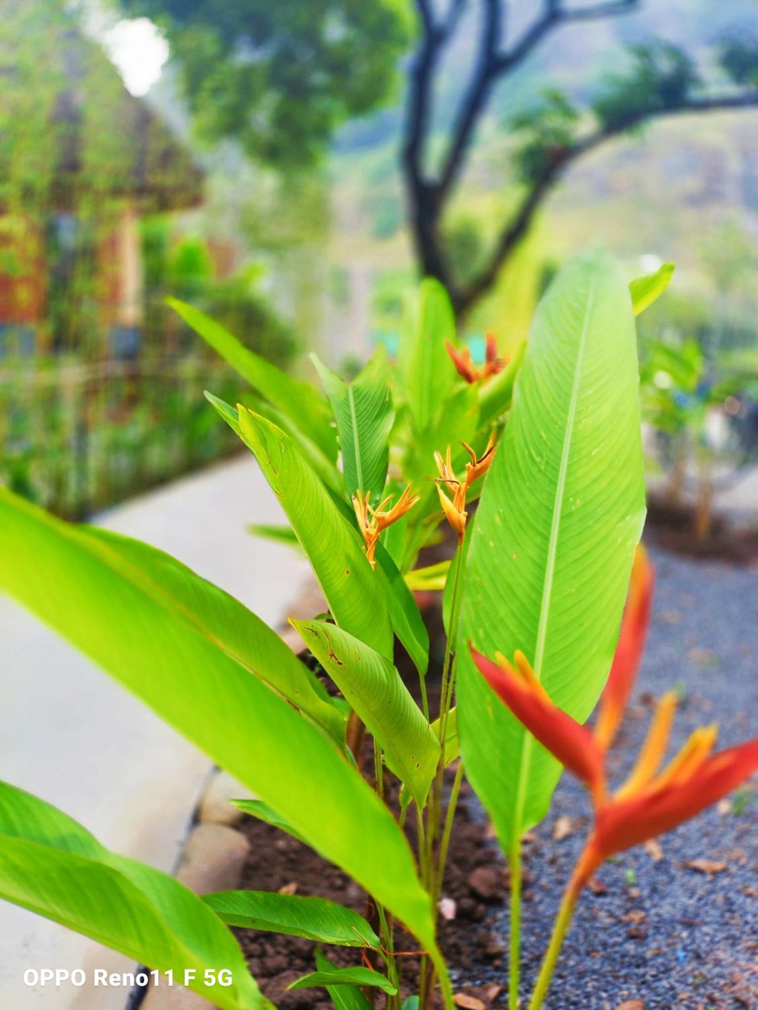 Hang Mua Eco Garden Xuan Son Экстерьер фото